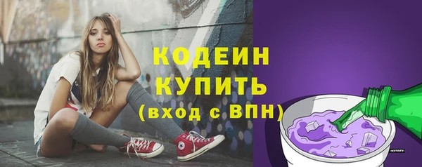 ГАЛЛЮЦИНОГЕННЫЕ ГРИБЫ Покровск