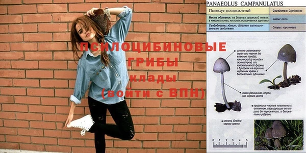 гидропоника Абинск